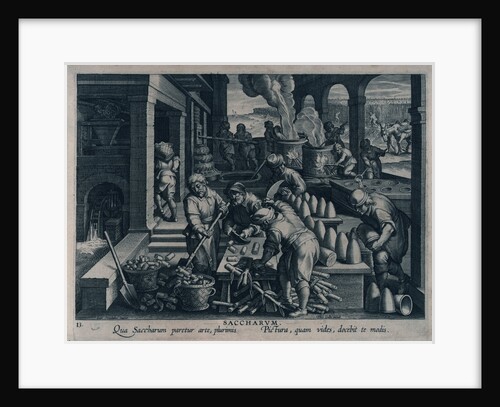 Saccharum. Qua Saccharum paretur arte, plurimis. Pictura, quam vides, docebit te modis. (Gunpowder) by Johannes Stradanus