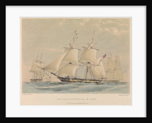 H.M. Brig 'Ringdove' 16 guns by H. John Vernon
