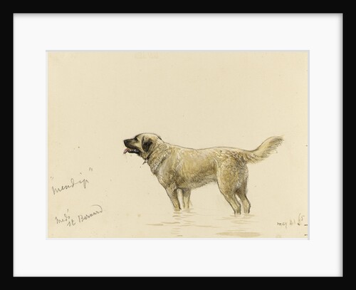 'Mendip' Megs St Bernard dog by John Brett