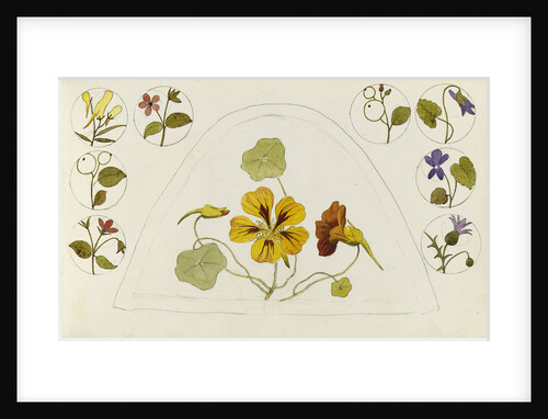 Designs with nasturtiums and other flowers by Rosa Brett