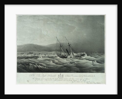 The loss of the steam ship 'Hope' steam ship on the south eastern coast of Africa by William John Huggins