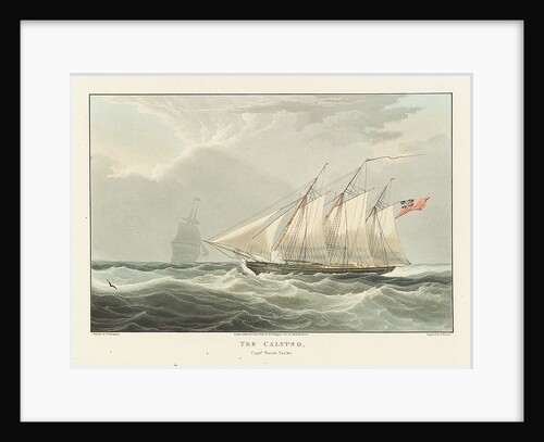 Captain Burn's yacht 'Calypso' by William John Huggins