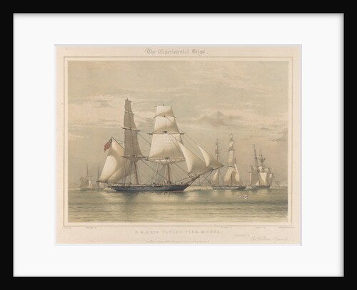 The Experimental Brig squadron of 1844: 'Flying Fish', 12 guns by Anonymous