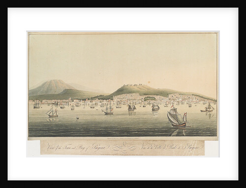 View of the town and bay of Smyrna by Havil