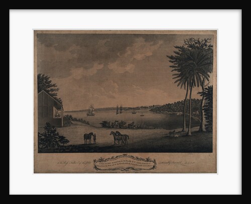 A view of Dry Harbour in the parish of St Ann's Jamaica by unknown