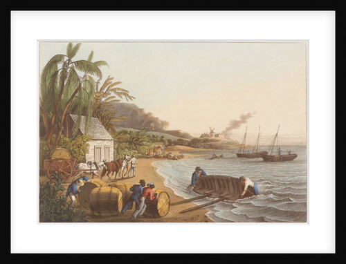 Shipping Sugar by Infant School Depository