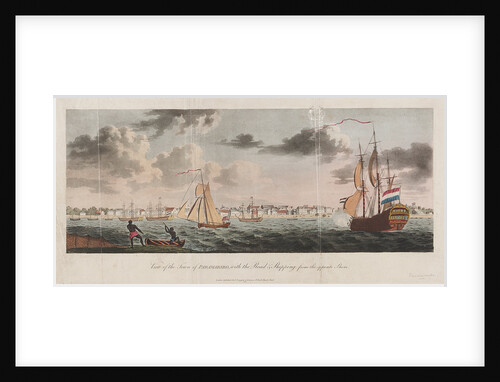 View of the town of Paramaribo, with the road & shipping from the opposite shore by J. Johnson