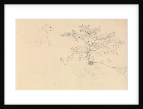 Study of a dog wearing collar and of tree branches by John Christian Schetky