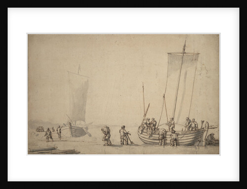 Pinks on the shore by Willem van de Velde the Elder