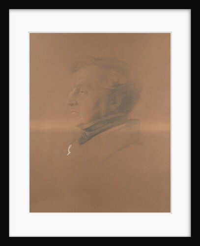 Captain James Fitzjames by unknown