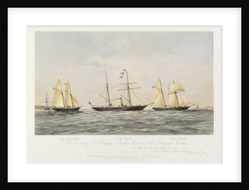 SS 'Guardiana', SS 'Tejo', SS 'Faro' by Thomas Goldsworth Dutton
