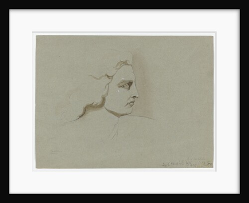 Castor by Margaret Louisa Herschel