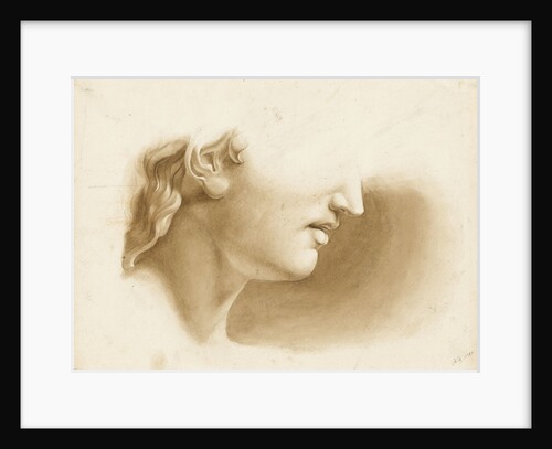 Study of the lower part of a human face, possibly a statue by Margaret Louisa Herschel