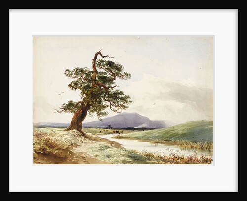 View of a tree near a river with cattle drinking and purple hill beyond by John Frederick William Herschel