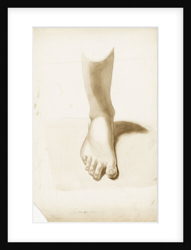 Study of a foot and ankle by Margaret Louisa Herschel