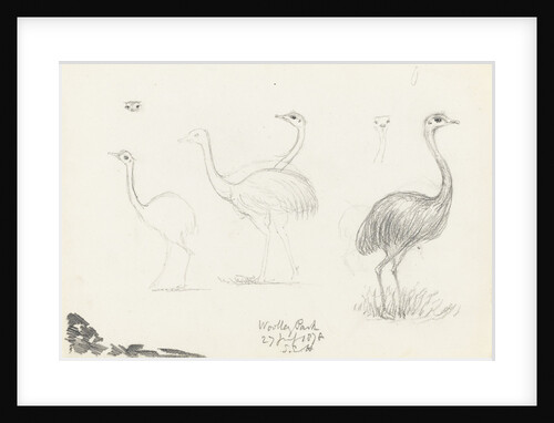 Wooley Park, 27 July 1878 by S.E. Hardcastle
