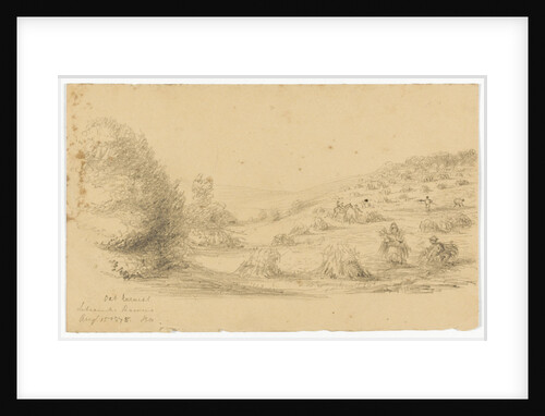 Oat Harvest, Litcombe Down. Aug 15 1878 by S.E. Hardcastle