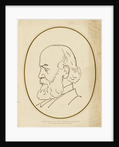 Head of a bearded gentleman by unknown