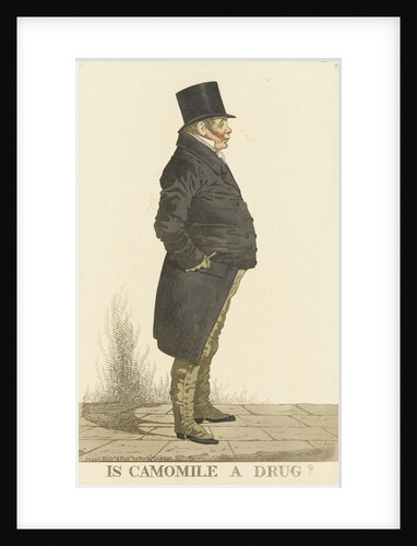 Is Camomile a Drug? by Richard Dighton