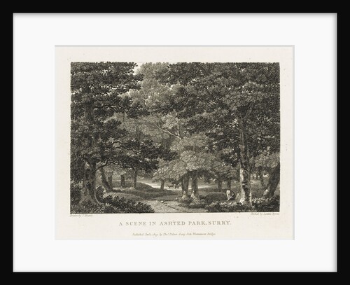 A scene in Ashted Park, Surrey by Thomas Hearne