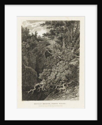 Devil's Bridge, North Wales by Paul Sandby Munn