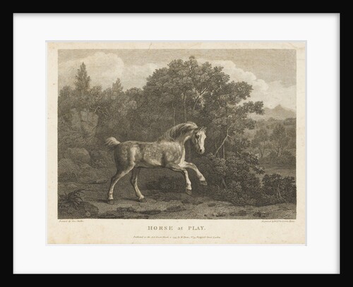 Horse at Play by George Stubbs