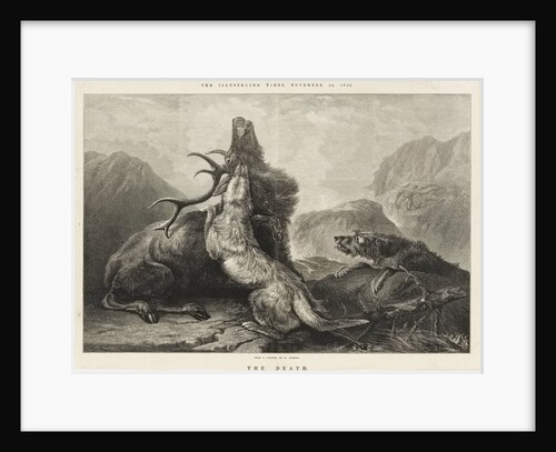 The Death by P. Skelton