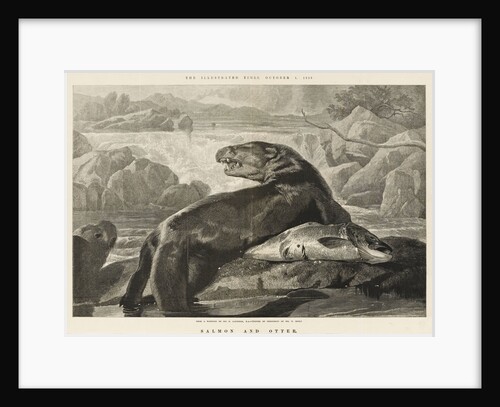 Salmon and Otter by S. Loudan