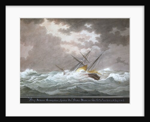 Brig schooner 'Cosmopolitan' of Ipswich by Nicholas Cammillieri