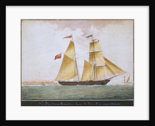Brig schooner 'Cosmopolitan' of Ipswich by Nicholas Cammillieri