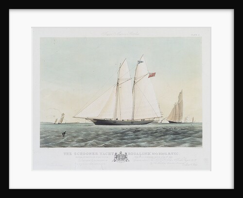 The schooner yacht 'Rosalind' by Thomas Sewell Robins