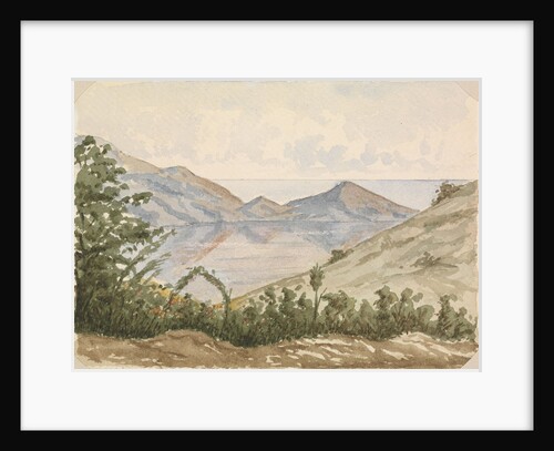 On the way to the Laguna, Valparaiso by Hamilton Williams