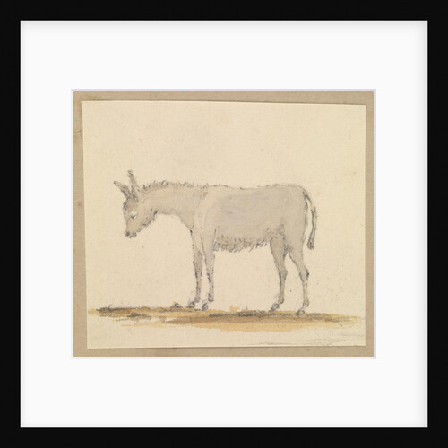 Study of a donkey by Robert Streatfeild