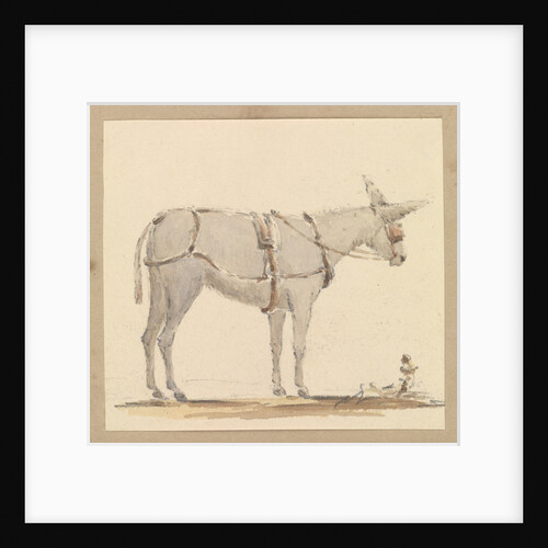 Study of a donkey with a bridle and harness by Robert Streatfeild