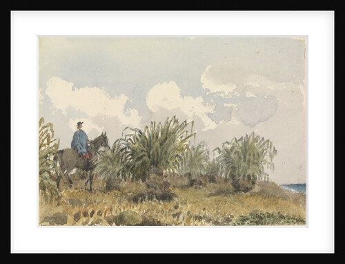 Tussac Grass, Falkland Islands by Edward Gennys Fanshawe