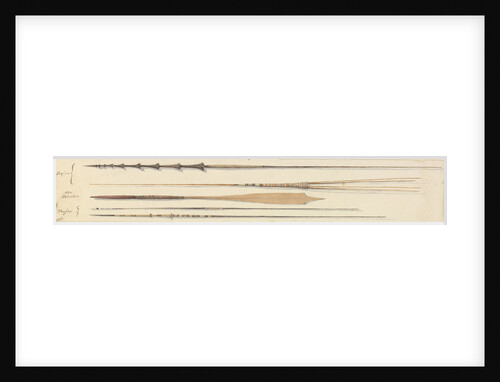 Spears from Feejee [Fiji] & New Hebrides by Edward Gennys Fanshawe