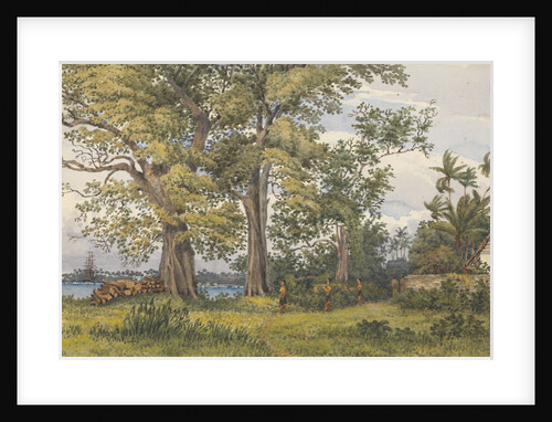 Apia Bay, Upolu, NavigatorsIslands, [Samoa] from verandah of my sick quarters, Novr 6th 1849 by Edward Gennys Fanshawe