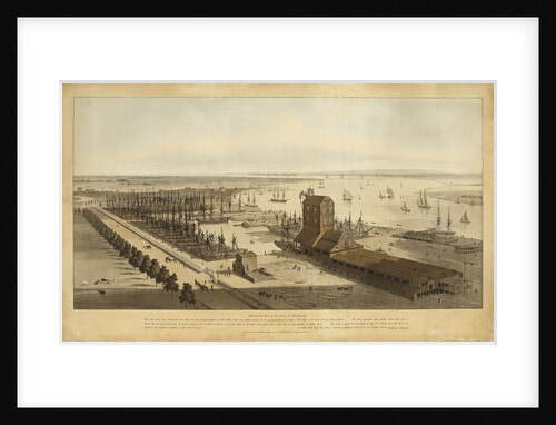 Brunswick dock on the Thames at Blackwall by William Daniell