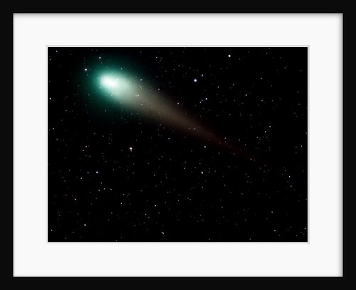 The Green Visitor by Richard Higby