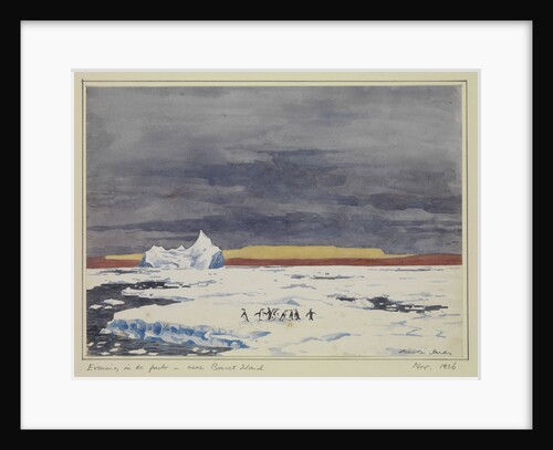 Evening in the pack - near Bouvet Island, Nov 1926 by Sir Alister Hardy