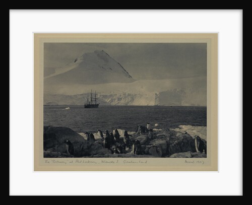 The Discovery at Port Lockroy, Wiencke I, Graham Land, March 1927 by Sir Alister Hardy (photographer)