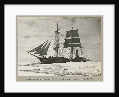 The 'Terra Nova' (1884) held up in the pack by Herbert George Ponting