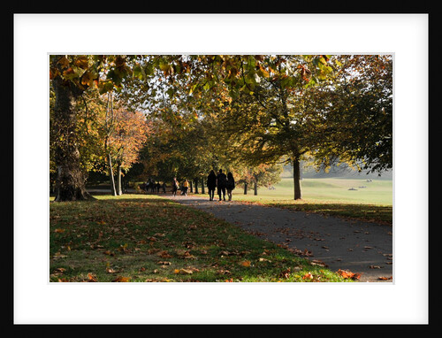 Autumnal image of the Royal Greenwich Park. by National Maritime Museum