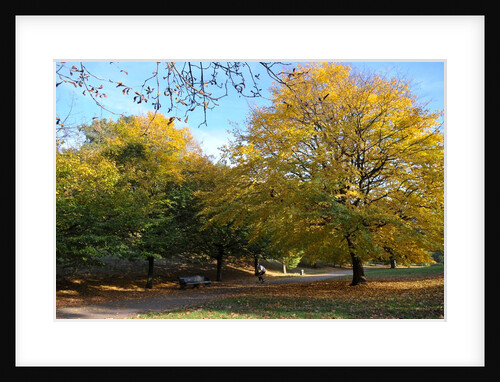 Autumnal image of the Royal Greenwich Park by National Maritime Museum
