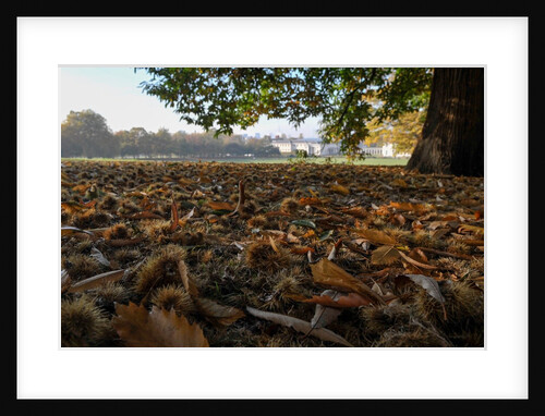 Autumnal image of the Royal Greenwich Park with the Queens House in the distance. by National Maritime Museum