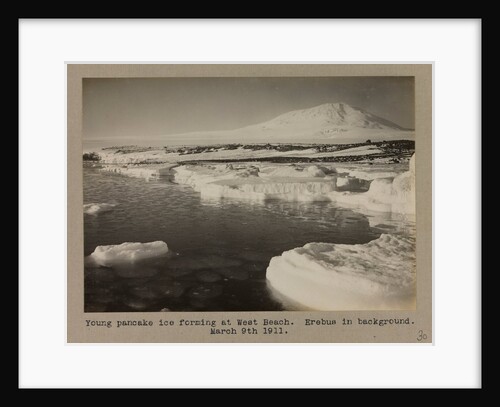 Young pancake ice forming at West Beach. Erebus in background. by Herbert George Ponting