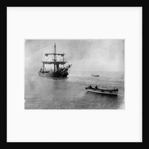 Ferreira (1869) by Unknown