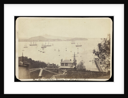 Plate 10: 'The Commodores home in foreground – Auckland New Zealand' by Unknown