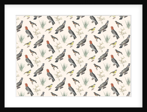 Natural history repeat pattern by Anonymous