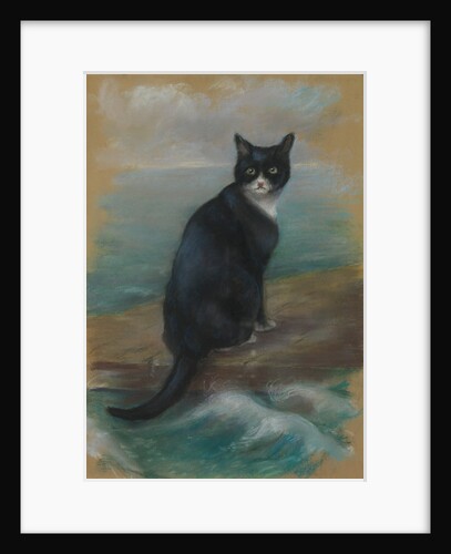Oscar, cat from the German ship 'Bismarck' by Georgina Shaw Baker